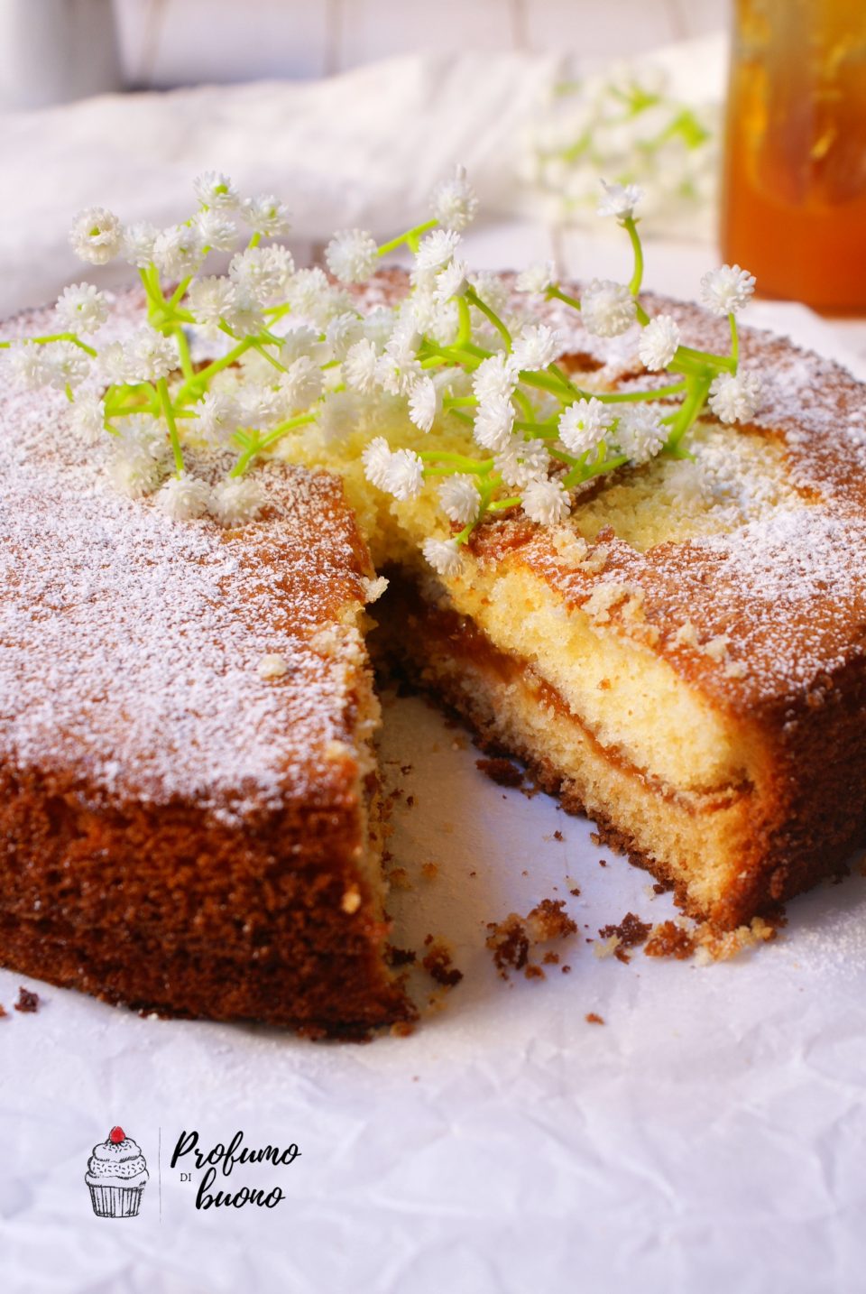 Torta versata senza glutine alla marmellata di albicocche ricoperta di zucchero a velo